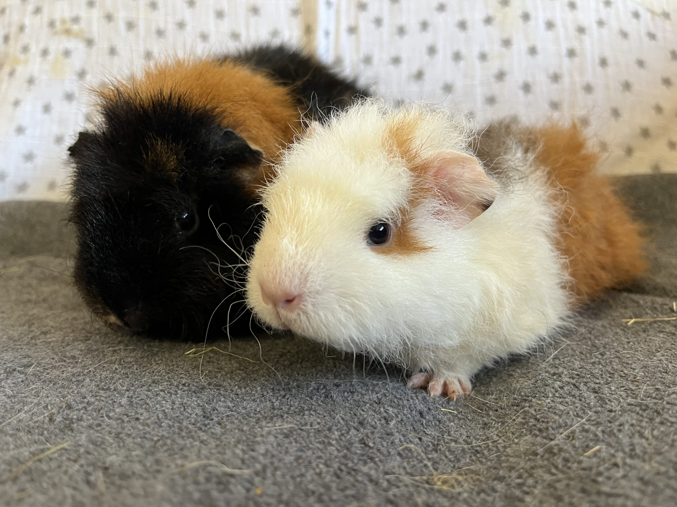 Mary & Molly